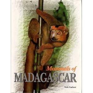 Imagen del vendedor de Mammals of Madagascar a la venta por Buteo Books