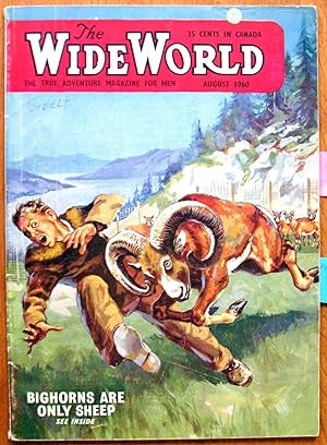Bighorns Are Only Sheep. Article in the Wide World-the True Adventure Magazine for Men August 1960