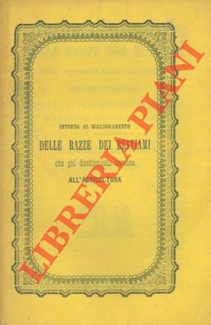 Intorno al miglioramento delle razze dei bestiami che più direttamente servono all'agricoltura. I...