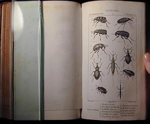 Considerations generales sur la classe des insectes