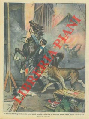Domatore perisce mentre tenta di salvare dal fuoco un cavallo e un leone.