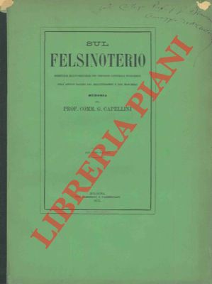 Bild des Verkufers fr Sul felsinoterio sirenoide halicoreforme dei depositi littoriali pliocenici dell'antico bacino del Mediterraneo e del Mar Nero. zum Verkauf von Libreria Piani