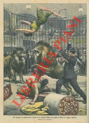 Due ginnaste cadono dentro una gabbia di leoni e vengono dilaniate.