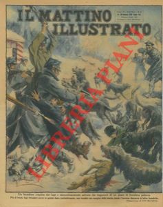 Bambino assalito dai lupi e salvato dai doganieri alla frontiera polacca.