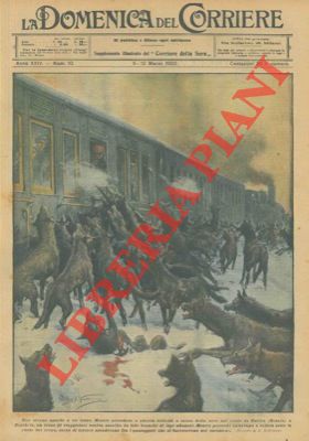 Folti branchi di lupi affamati assalgono un treno che procedeva a lenta velocità (Bosnia).