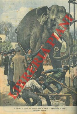 La partenza da Londra per gli Stati Uniti dell'elefante Jingo.