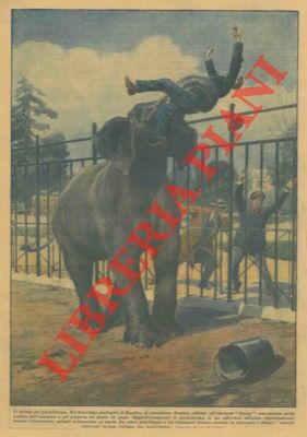 Nel Giardino zoologico di Basilea, un elefante uccide un guardiano.