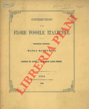 Contributions à la Flore Fossile Italienne. Troisième Mémoire. Massa Marittima.