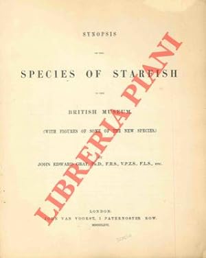 Synopsis of the species of starfish in the British Museum (with figures of some of the new species).