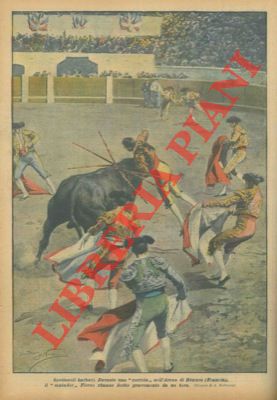 Durante una corrida in Francia il matador rimane ferito gravemente da un toro.