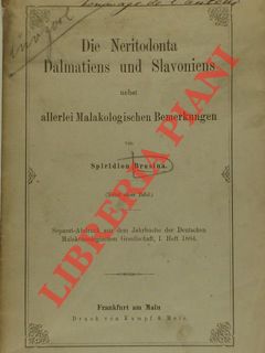 Die Neritodonta Dalmatiens und Slavoniens nebst allerlei Malakologischen Bemerkungen.