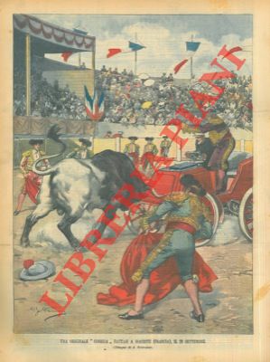 Originale corrida (auto contro toro) fattasi a Biarritz in Francia.