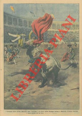 Durante una "corrida", a Madrid, il torero Gavina viene ucciso da un toro.