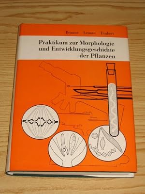 Bild des Verkufers fr Praktikum zur Morphologie und Entwicklungsgeschichte der Pflanzen, zum Verkauf von Versandantiquariat Hbald