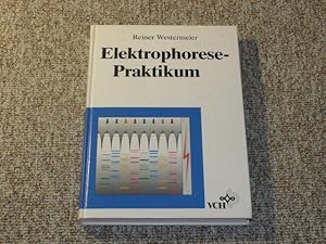 Seller image for Elektrophorese-Praktikum, for sale by Versandantiquariat Hbald