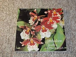 Seller image for Orchideen-Juwelen im Pflanzenreich, for sale by Versandantiquariat Hbald