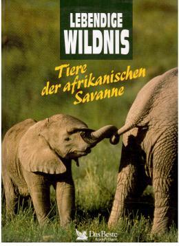 Lebendige Wildnis - Tiere der afrikanischen Savanne; Elefanten, Löwen, Nashörner, Straße, Giraffe...