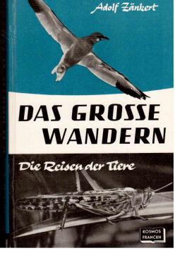 Das grosse Wandern : Die Reisen der Tiere.