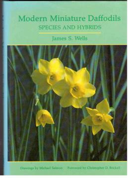 Imagen del vendedor de Modern Miniature Daffodils : Species and Hybrids a la venta por Antiquariat Jterbook, Inh. H. Schulze