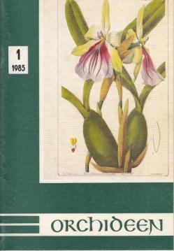 Orchideen : Zeitschrift für Fachgruppen und Interessengemeinschaften 1(1985)