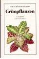 Seller image for Grnpflanzen in Tabellen und bersichten. for sale by Antiquariat Jterbook, Inh. H. Schulze