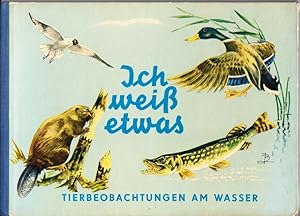 Ich weiß etwas. Tierbeobachtungen am Wasser. Ein Anschaungsbuch.