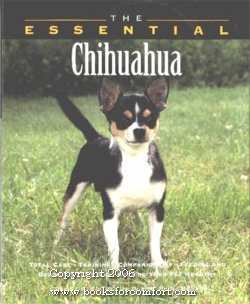 Seller image for The Essential Chihuahua for sale by booksforcomfort