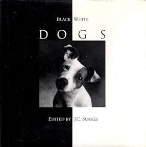 Seller image for Black & White Dogs for sale by LEFT COAST BOOKS
