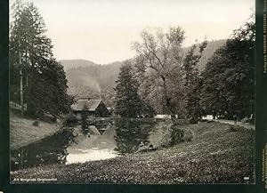 Imagen del vendedor de Wernigerode, Christianenthal. 1 alte Orig.- Fotografie. a la venta por Klaus Kreitling