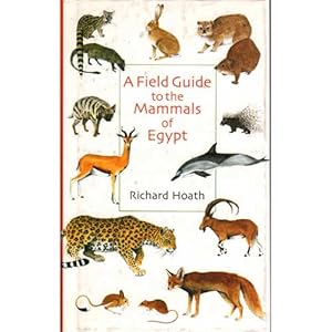 Seller image for A Field Guide to the Mammals of Egypt for sale by Buteo Books