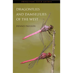 Immagine del venditore per Dragonflies and Damselflies of the West venduto da Buteo Books