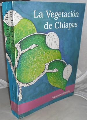 La Vegetacion De Chiapas