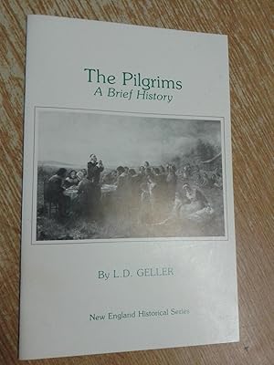 The Pilgrims: A brief history (New England historical series)