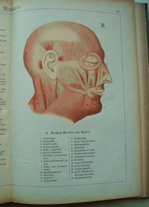 Der Bau Des Menschlichen Korpers. Anatomische Beschreibung Des Menschen Fur Schule Und Haus.