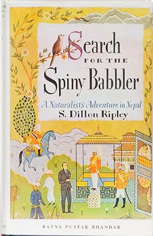 Search for the Spiny Babbler