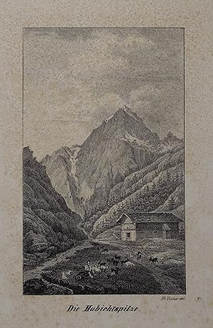 Bild des Verkufers fr Die Habichtspitze. Lithographie nach Fr. Vischer, um 1845, 13,5 x 8 cm zum Verkauf von Antiquariat Johannes Mller