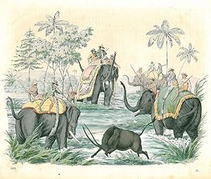 JAGD. - Büffeljagd. Auf drei Elefanten reitende Jäger haben einen Büffel eingekreist und zielen m...