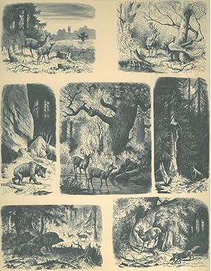 JAGD. "Waldbilder". Sieben Darstellungen von jagdbaren Tieren.