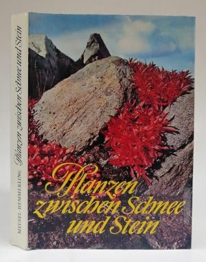 Seller image for Pflanzen zwischen Schnee und Stein. Ein Wegweiser fr Wanderer, Grtner und Botaniker mit 270 Abb. for sale by Der Buchfreund