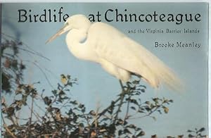 Imagen del vendedor de Bird Life at Chincoteague and the Virginia Barrier Islands a la venta por Bookfeathers, LLC