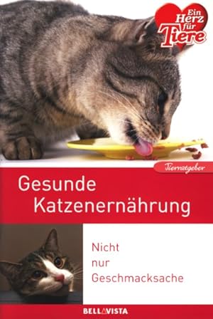 Tierratgeber ~ Gesunde Katzenernährung.