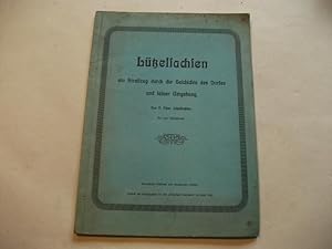 Imagen del vendedor de Ltzelsachsen ein Streifzug durch die Geschichte des Dorfes und seiner Umgebung. a la venta por Ottmar Mller