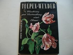 Image du vendeur pour Tulpen - Wunder. Wanderung und Verwandlung einer Blume. mis en vente par Ottmar Mller