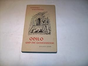 Bild des Verkufers fr Odilio und die Geheimnisse. zum Verkauf von Ottmar Mller