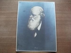 Imagen del vendedor de Charles Darwin a la venta por Ottmar Mller