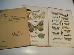 Bild des Verkufers fr Die Schmetterlinge Deutschlands mit besonderer Bercksichtigung der Biologie. Band 1 und 2. zum Verkauf von Ottmar Mller