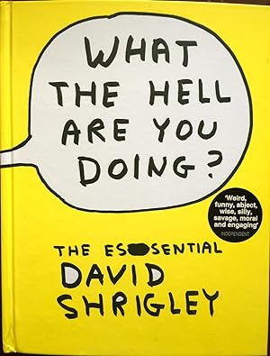 Seller image for What the Hell Are You Doing?: The Essential David Shrigley for sale by Epilonian Books