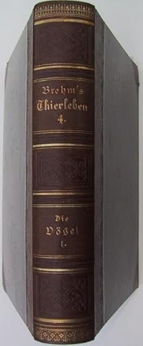 [Brehms Tierleben]. Die Vögel. Erster Band: Papageien, Leichtschnäbler, Schwirrvögel, Spechte und...