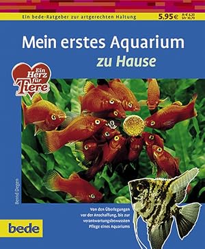 Mein erstes Aquarium zu Hause