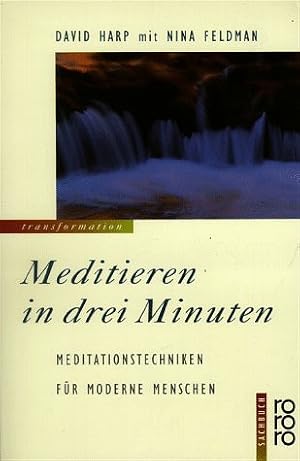 Immagine del venditore per Meditieren in drei Minuten. Meditationstechniken fr moderne Menschen venduto da Antiquariat Armebooks